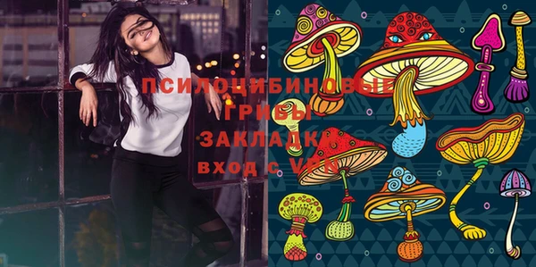 дживик Магас