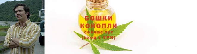 СК Щигры