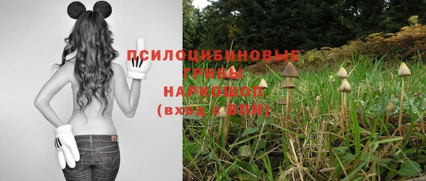 метадон Горнозаводск