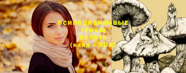jwh Горно-Алтайск