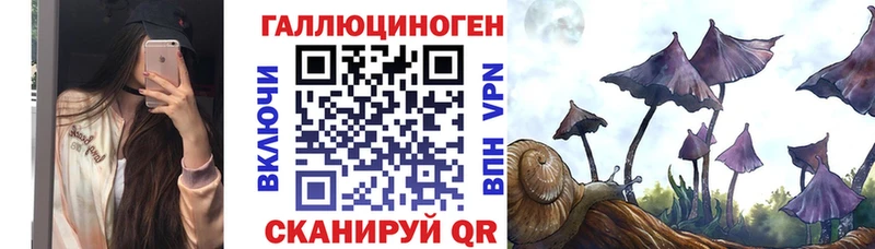 Галлюциногенные грибы Cubensis  OMG tor  Медногорск  закладка 