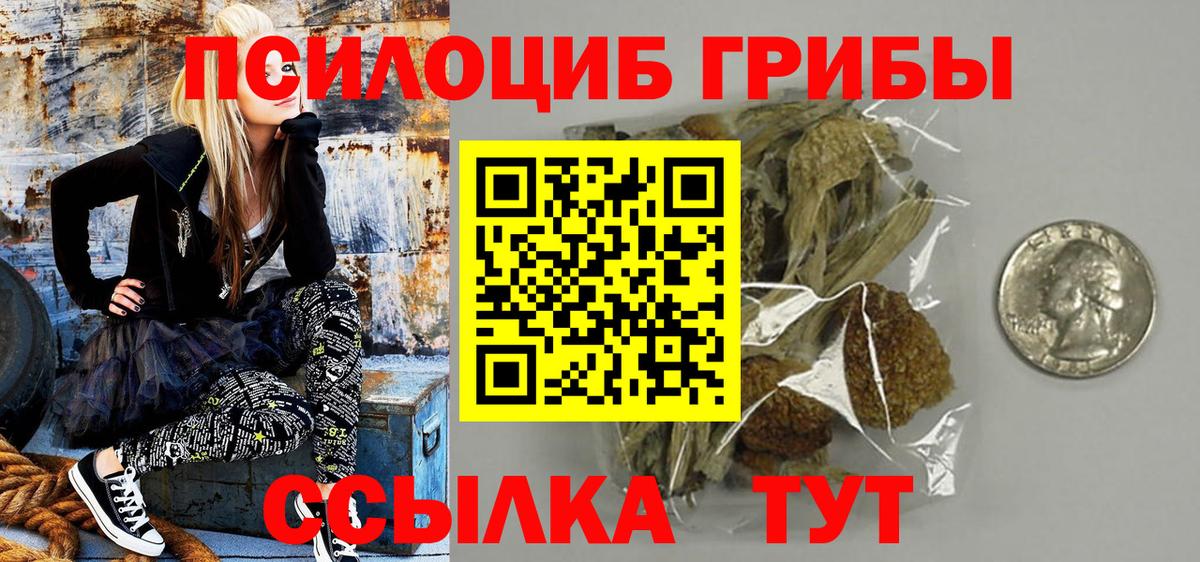Псилоцибиновые грибы Cubensis  Медногорск  хочу   Галлюциногенные грибы MAGIC MUSHROOMS 