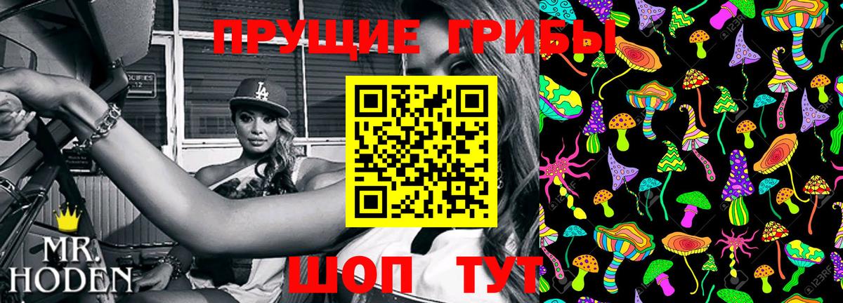 Галлюциногенные грибы Cubensis Медногорск